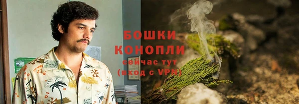 дурь Нея