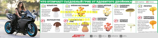 дурь Нея