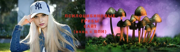 дурь Нея