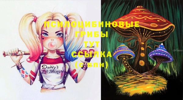 гидра Нефтегорск