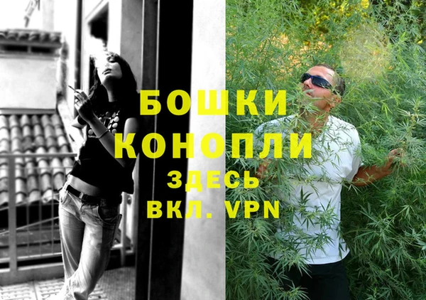дурь Нея