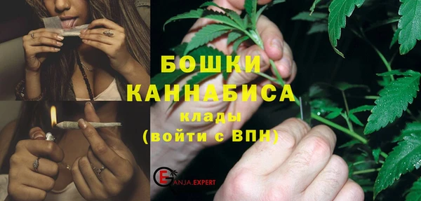 дурь Нея