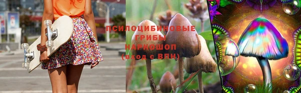 дурь Нея