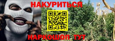 крисы Донской