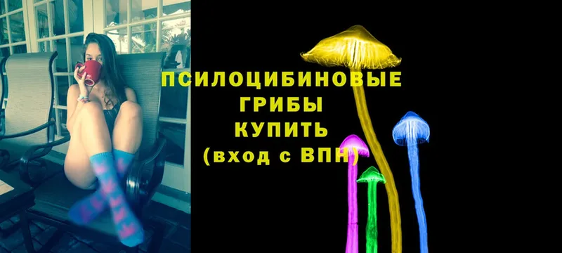 Галлюциногенные грибы MAGIC MUSHROOMS  где найти наркотики  Стерлитамак 