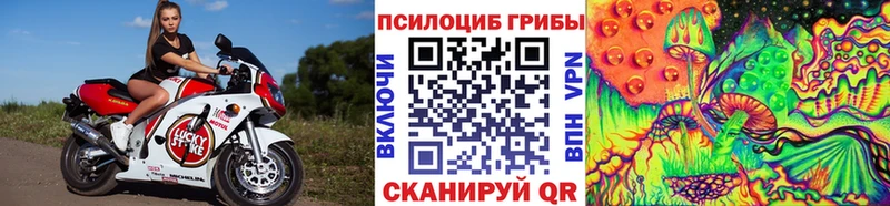 гидра сайт  Стерлитамак  Псилоцибиновые грибы Psilocybine cubensis 