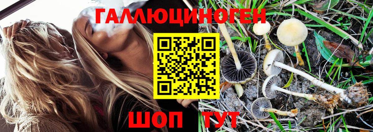 Галлюциногенные грибы MAGIC MUSHROOMS  наркота  Стерлитамак 