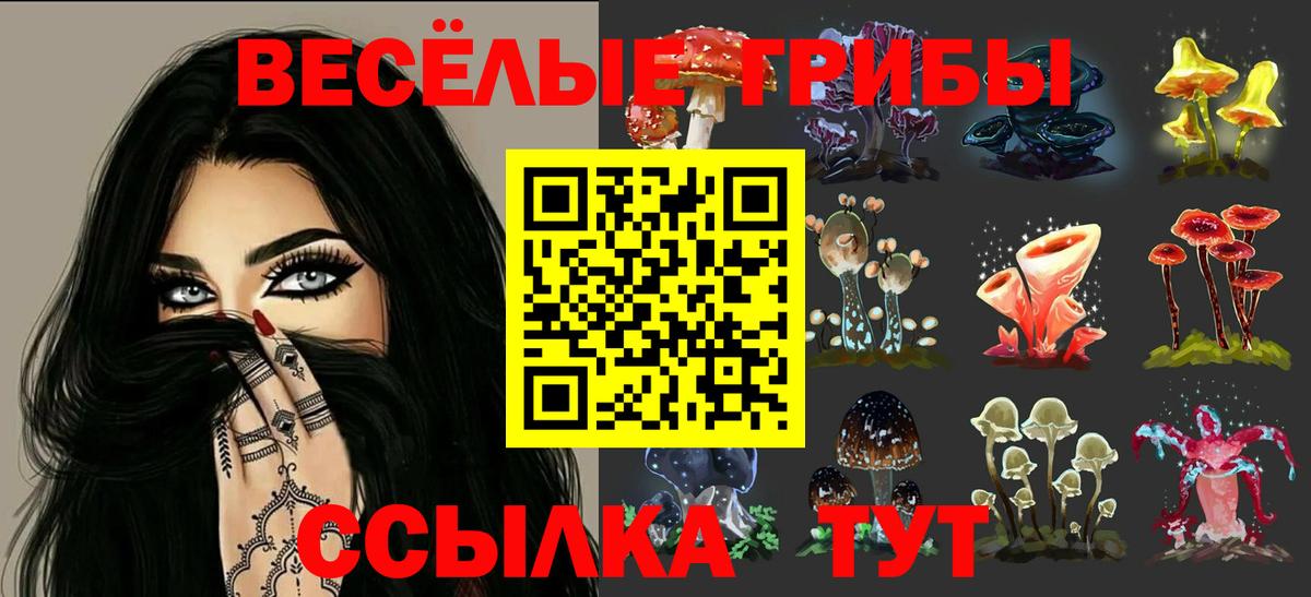 Галлюциногенные грибы мухоморы  Вход с VPN  Галлюциногенные грибы Cubensis  Стерлитамак 